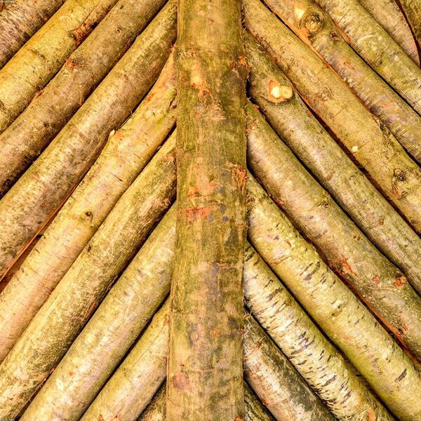 Timber